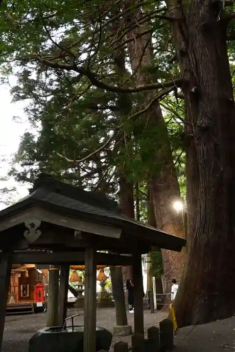 天祖神社(大分県)