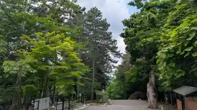 上川神社(北海道)