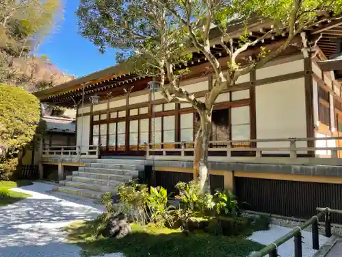 報国寺(神奈川県)