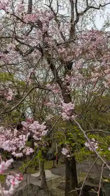 松ヶ崎大黒天 妙圓寺（妙円寺）(京都府)