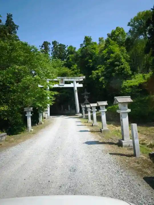 大水上神社の{uncategorized: "未分類", other: "その他", undefined: "問題あり", building: "その他建物", grave: "お墓", sacred_gate: "鳥居", guardian: "狛犬", statue: "像", buddha: "仏像", history: "歴史", nature: "自然", garden: "庭園", animal: "動物", pagoda: "塔", temizu: "手水舎", mountain_gate: "山門・神門", sanctuary: "本殿・本堂", subordinate: "末社・摂社", art: "芸術", scenery: "景色", jizo: "地蔵", ema: "絵馬", goshuin: "御朱印", omikuji: "おみくじ", items: "授与品その他", amulet: "お守り", goshuincho: "御朱印帳", eats: "食事", festival: "お祭り", votive_dance: "神楽", shichigosan: "七五三参", wedding: "結婚式", experience: "体験その他", initially: "初詣", around: "周辺", anti_infection: "感染症対策"}
