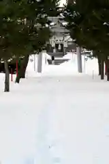 鹿部稲荷神社の鳥居