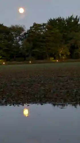 大覚寺(京都府)