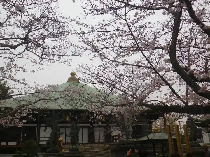長勝寺の本殿・本堂