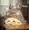 しんのすけ将軍
