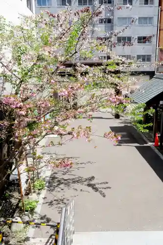 札幌祖霊神社の景色