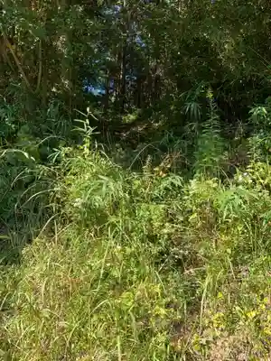 薬師如来の周辺