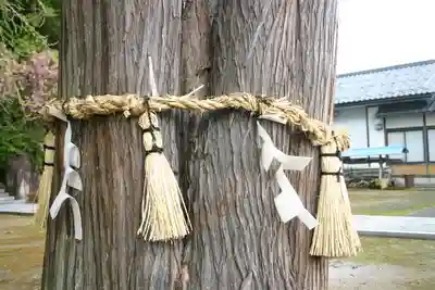 春日神社の自然