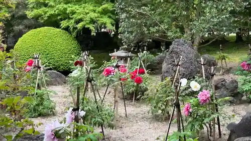 長泉院(埼玉県)