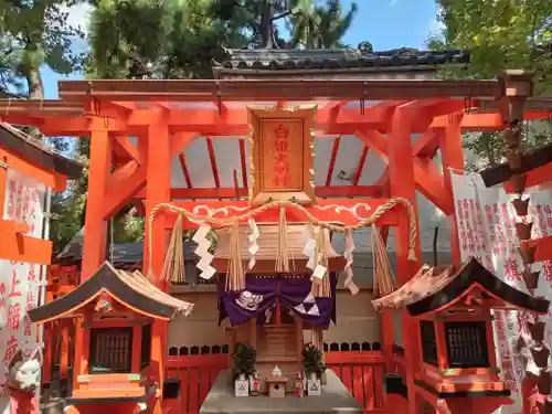 阿部野神社(大阪府)