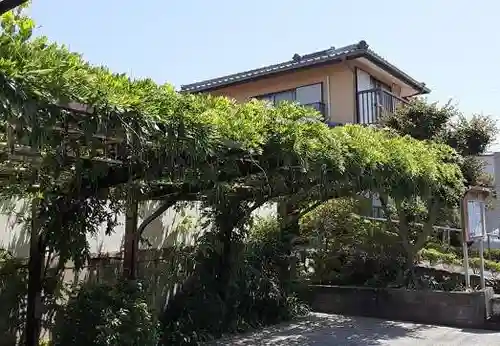 西方山極楽寺の自然