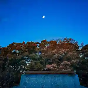 伊勢の国 四天王寺(三重県)(2024年12月19日(木) 11時55分25秒投稿)