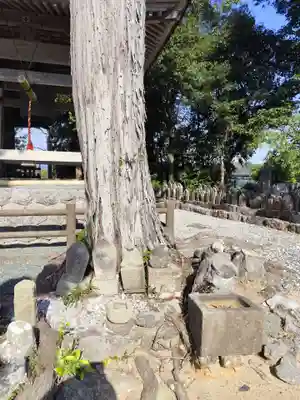 禅師峰寺(高知県)