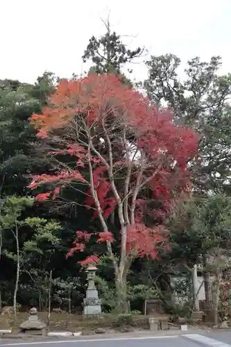 大洗磯前神社の自然