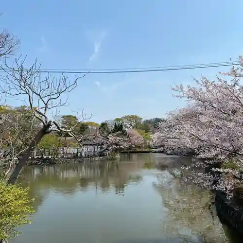 鶴岡八幡宮の庭園