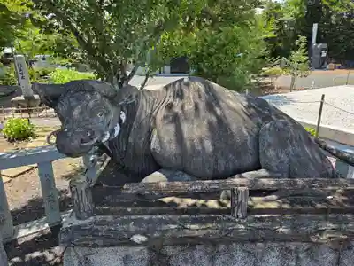 焼津神社(静岡県)