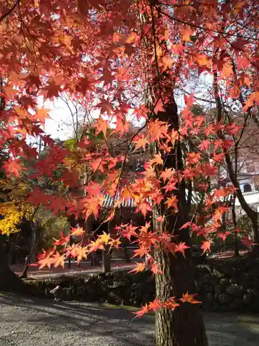 神峯山寺(大阪府)