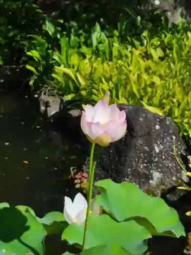 長谷寺(神奈川県)