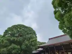 明治神宮の建物その他