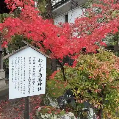 長浜八幡宮(滋賀県)