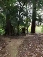 八幡神社(千葉県)