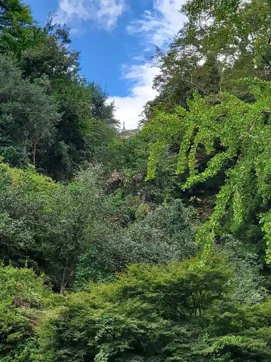 秩父札所三十二番 法性寺の自然