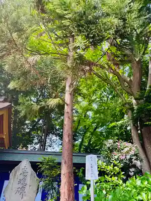 土津神社｜こどもと出世の神さま(福島県)