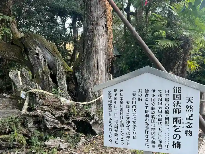 大山祇神社(愛媛県)