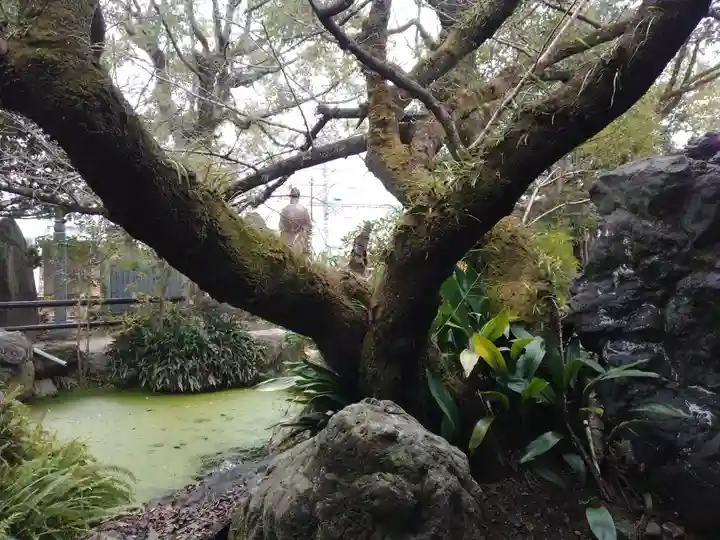 石手寺(愛媛県)