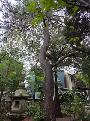 淺野神社(石川県)