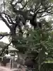 與止日女神社の自然