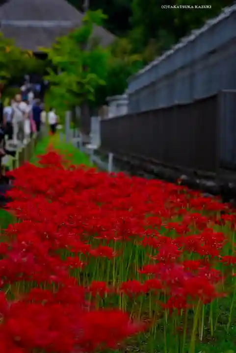 横浜 西方寺(神奈川県)