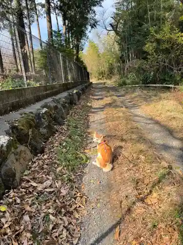 神祇大社(静岡県)