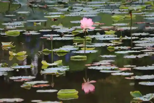 三光稲荷神社の周辺