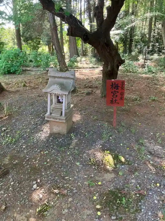 結城諏訪神社の{uncategorized: "未分類", other: "その他", undefined: "問題あり", building: "その他建物", grave: "お墓", sacred_gate: "鳥居", guardian: "狛犬", statue: "像", buddha: "仏像", history: "歴史", nature: "自然", garden: "庭園", animal: "動物", pagoda: "塔", temizu: "手水舎", mountain_gate: "山門・神門", sanctuary: "本殿・本堂", subordinate: "末社・摂社", art: "芸術", scenery: "景色", jizo: "地蔵", ema: "絵馬", goshuin: "御朱印", omikuji: "おみくじ", items: "授与品その他", amulet: "お守り", goshuincho: "御朱印帳", eats: "食事", festival: "お祭り", votive_dance: "神楽", shichigosan: "七五三参", wedding: "結婚式", experience: "体験その他", initially: "初詣", around: "周辺", anti_infection: "感染症対策"}