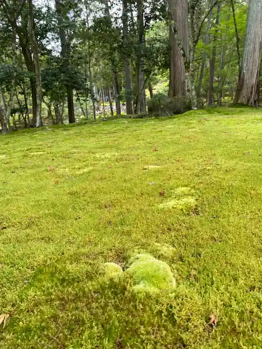 西芳寺(京都府)