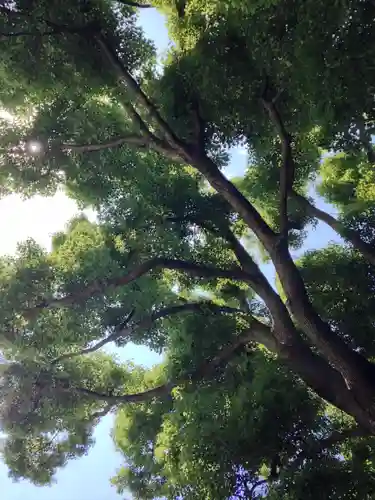 日枝神社の自然