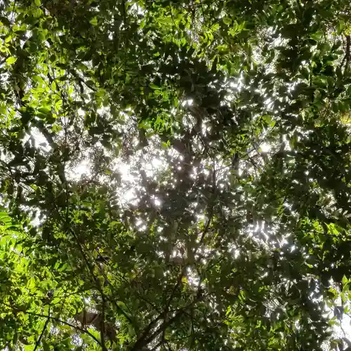 沼尾神社の自然