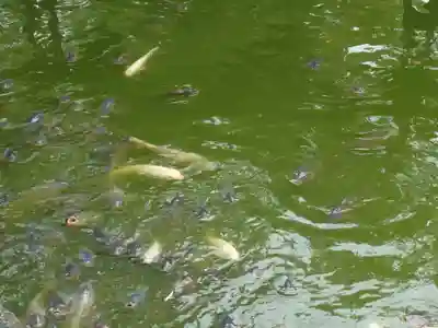 宗像大社(福岡県)