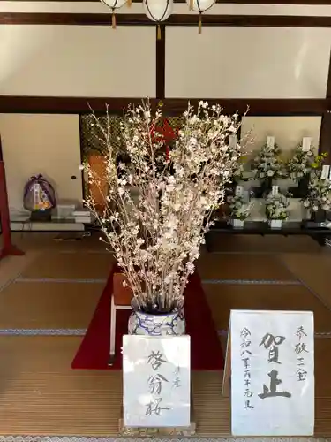 退蔵院(京都府)