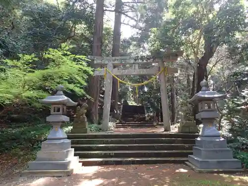 海神神社の鳥居