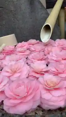 無量寿院宝禅寺(群馬県)