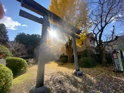 大斎原（熊野本宮大社旧社地）(和歌山県)
