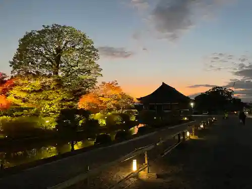 東寺（教王護国寺）(京都府)