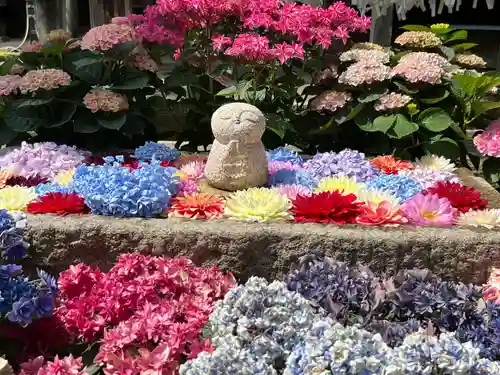 岡寺（龍蓋寺）(奈良県)