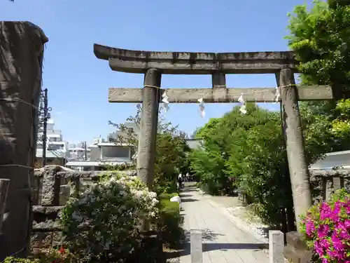 鳩森八幡神社の鳥居