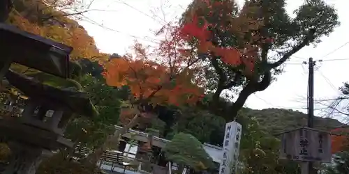 松尾大社のその他建物