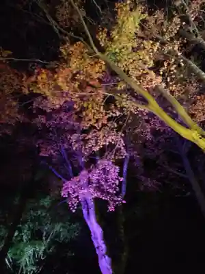 北広島市総鎮守　廣島神社(北海道)