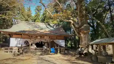 中村八幡宮の本殿・本堂