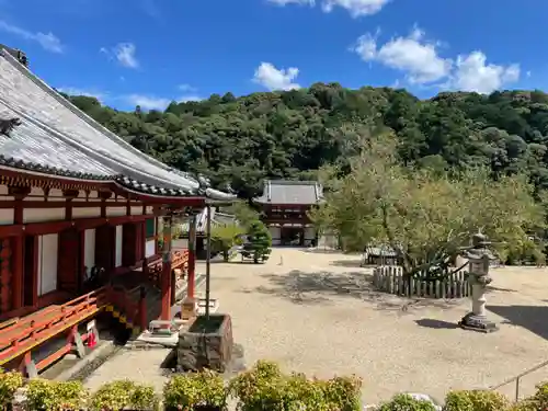 金剛寺(大阪府)